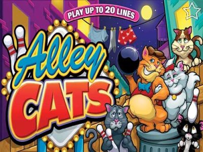 Alley Cats