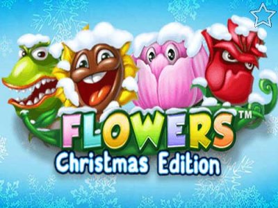 Flowers Christmas Edition Touch