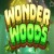 Wonder Woods